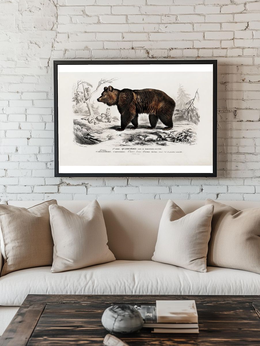Brown Bear (Ursus Arctos) illustrated. room preview