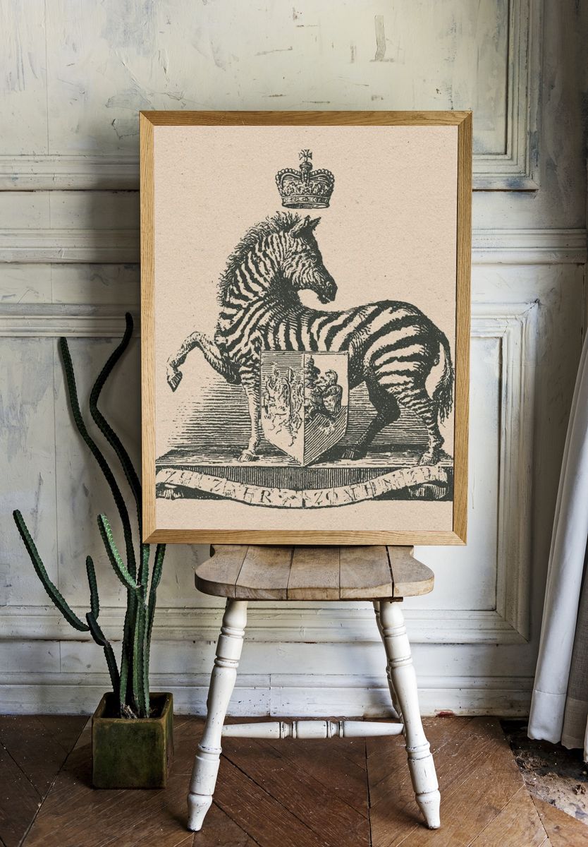 Crowned Zebra Vintage Print. — room view 1