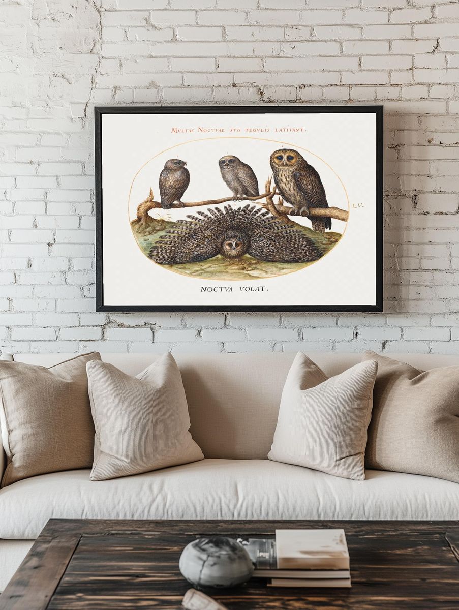 Four Owls (1575-1580) painting high. room preview