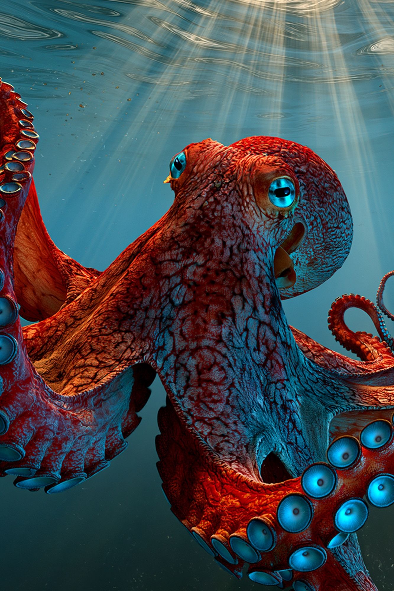 Underwater Octopus Digital Art Poster. poster — animals art