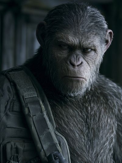 Ape Portrait — Cinematic Print.