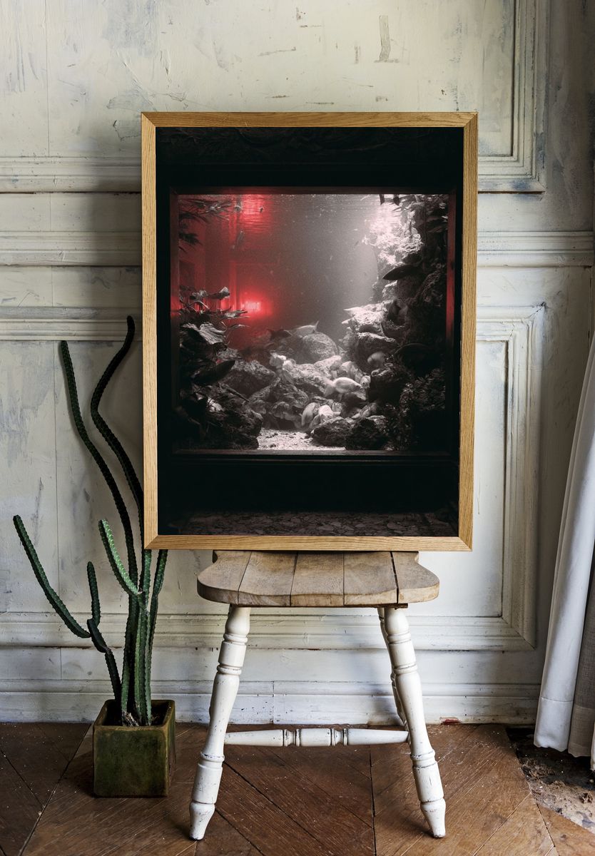 Underwater Aquarium Scene Photography Poster. room preview