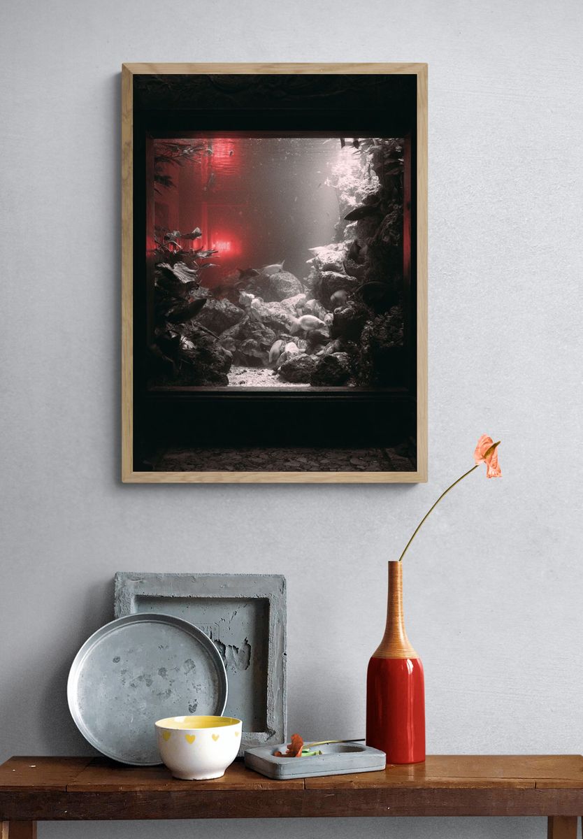 Underwater Aquarium Scene Photography Poster. — room view 3