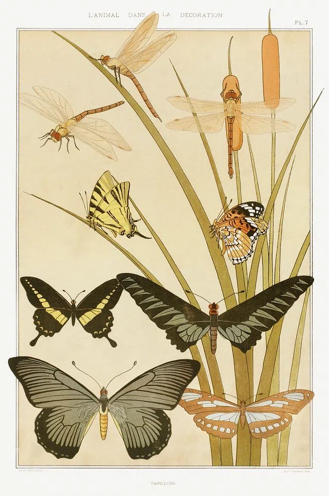 Papillons L'animal dans la décoration. poster — fine-art art