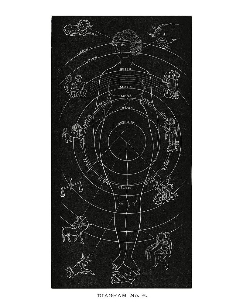 Astrological Diagram — Vintage Print. poster detail
