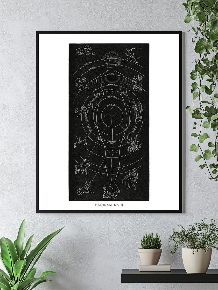Astrological Diagram — Vintage Print. — room view 4