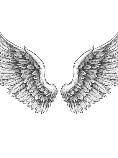 Angel Wings Line-Art Poster. poster