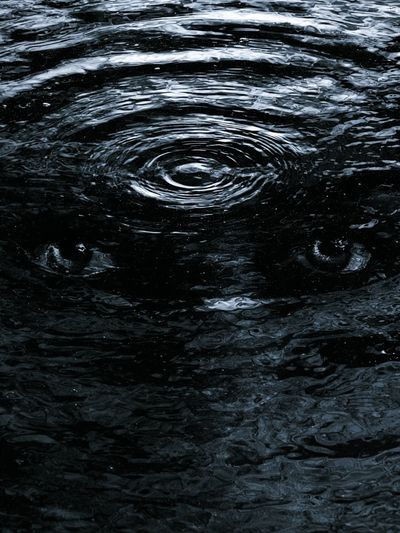 Dark Water Ripples Abstract Poster. poster