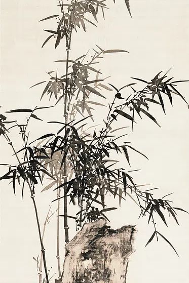 Bamboo and Rock — Asian Ink Art Print. poster — fine-art art