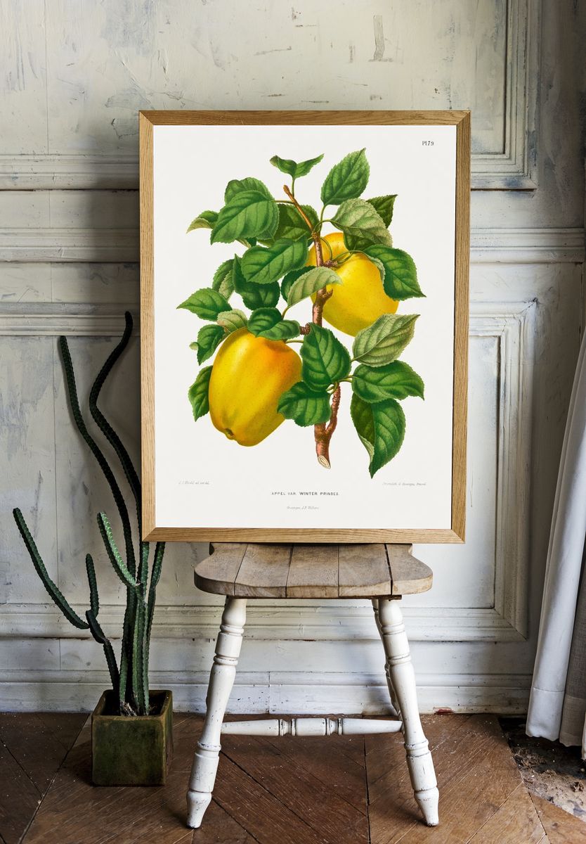 Winter Princess Apple Botanical Print. — room view 1
