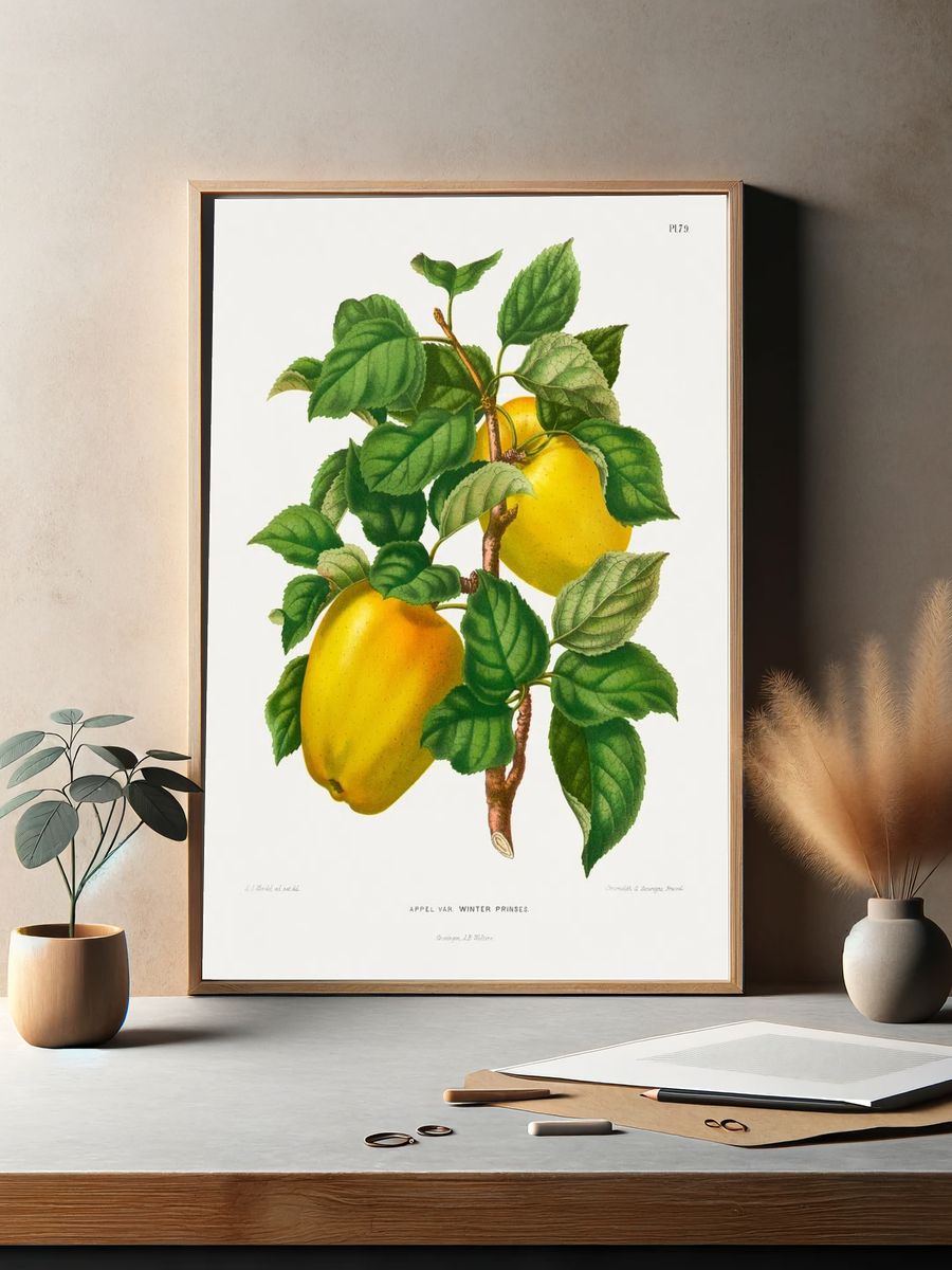 Winter Princess Apple Botanical Print. — room view 2