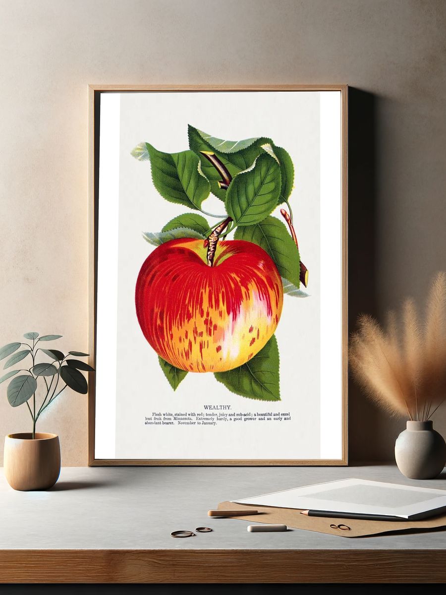 Wealthy Apple Botanical Print. — room view 2
