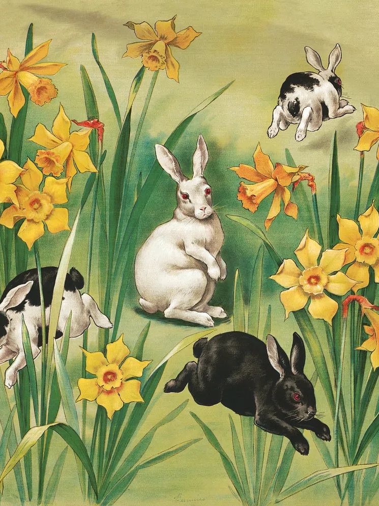 Bunnies and Daffodils — Vintage Print. poster — animals art