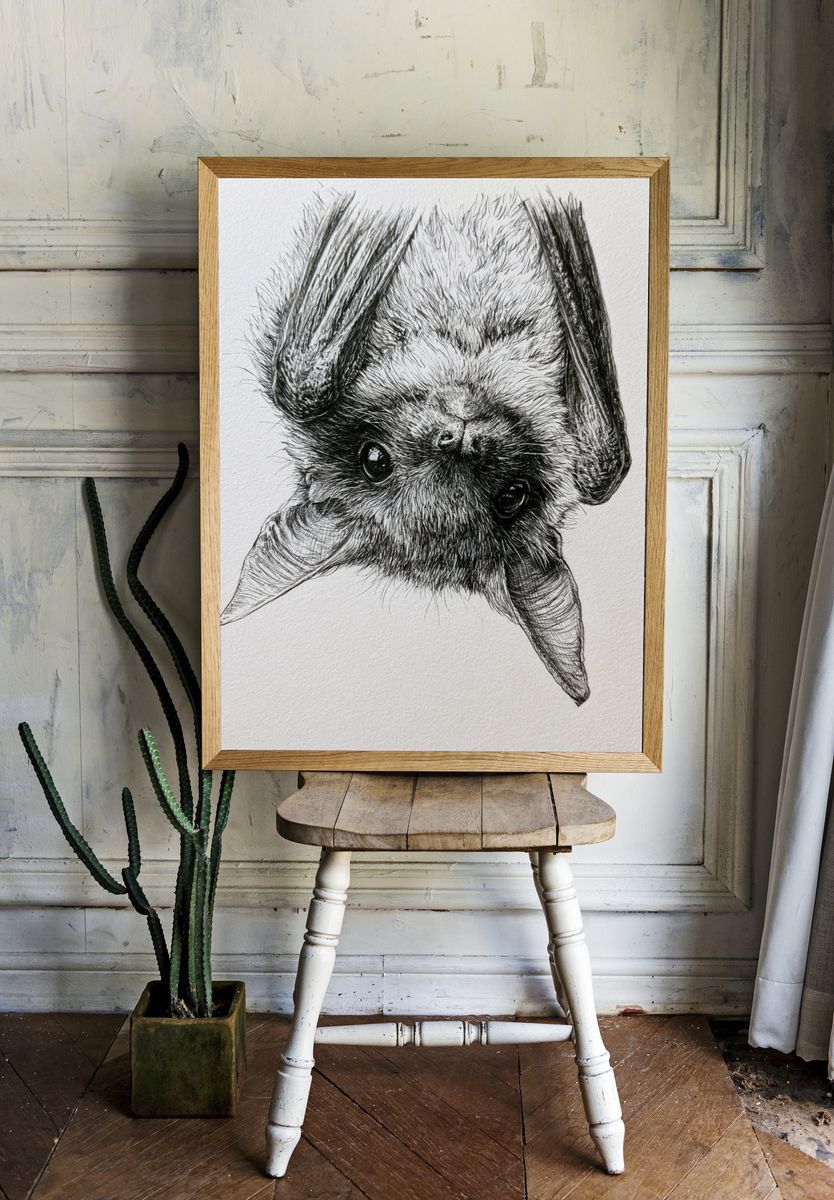 Upside-Down Bat Portrait Print. — room view 1