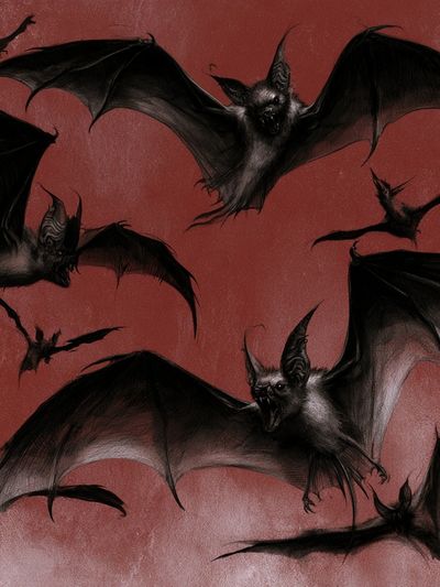 Flying Bats Illustration Poster. poster