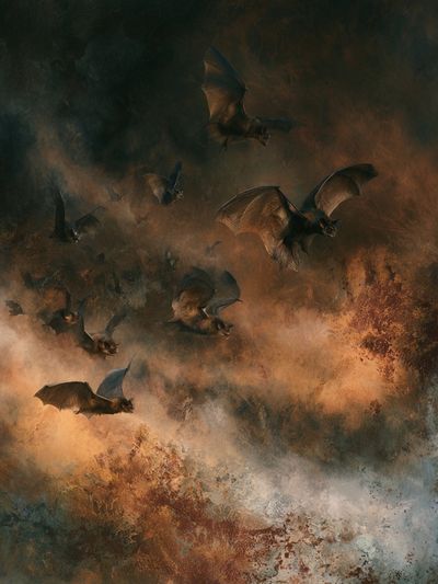 Bats in Stormy Sky Illustration Poster.