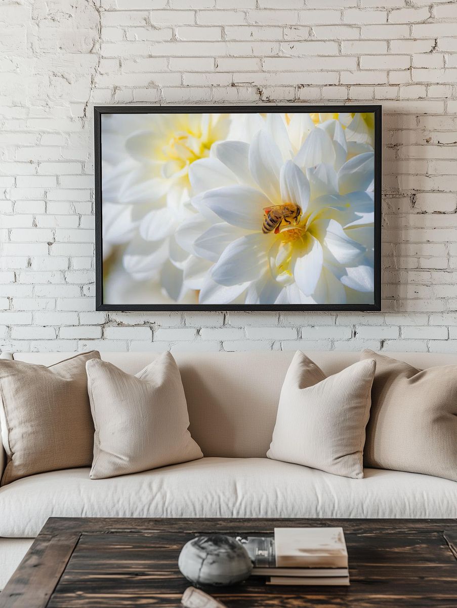 bee pollinates Dahlias Summer Dreams. room preview