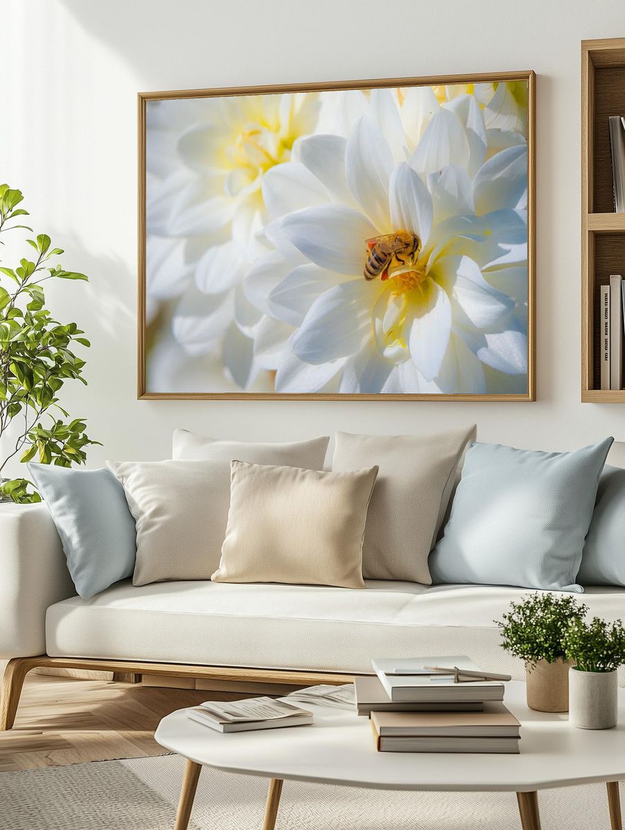 bee pollinates Dahlias Summer Dreams. — room view 2