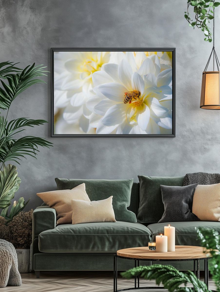 bee pollinates Dahlias Summer Dreams. — room view 4