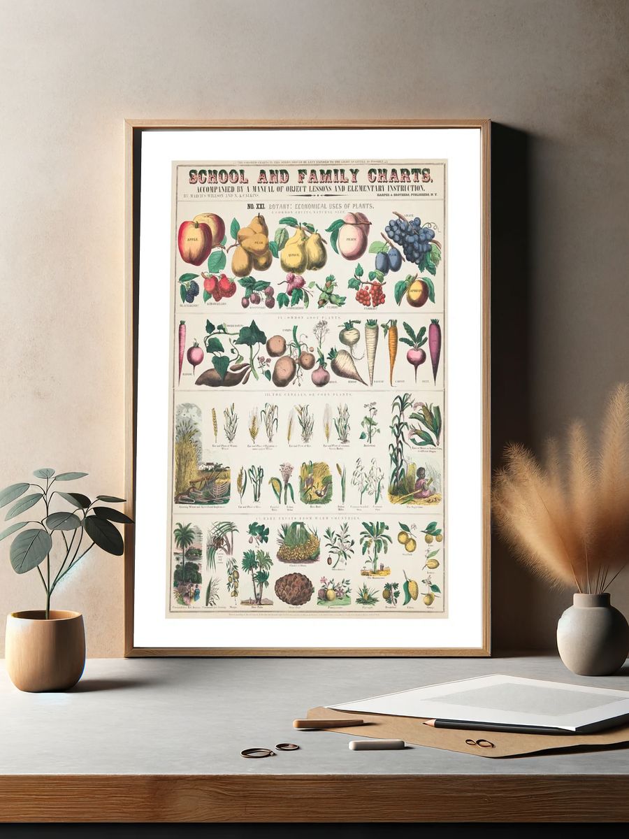Botany: Economical Uses of Plants Poster. — room view 2