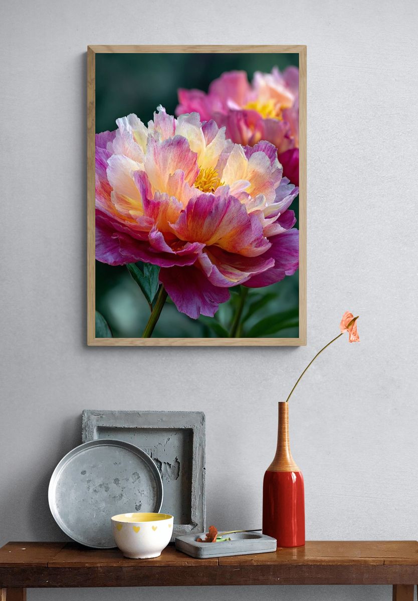 Vibrant Peony Floral Print. — room view 3