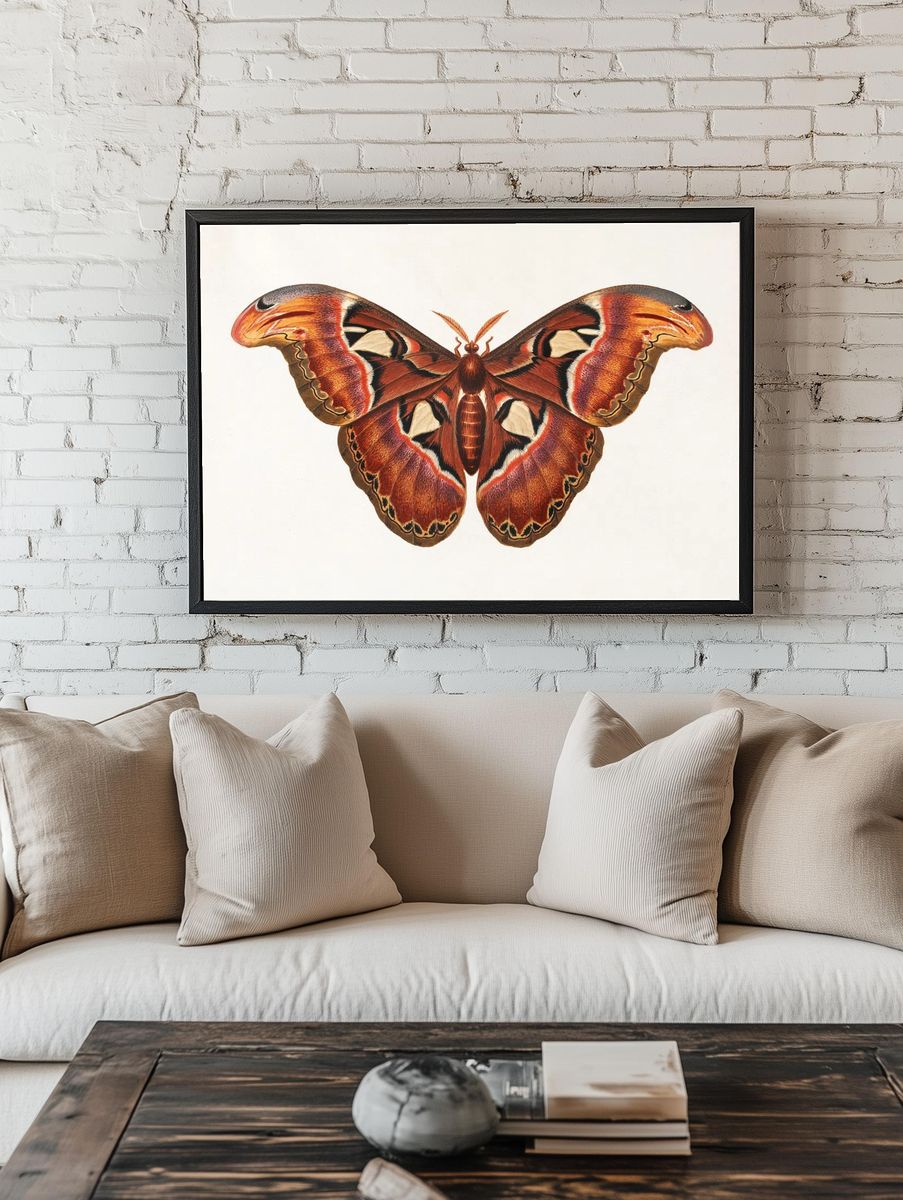 Colorful Butterfly Illustration Poster. — room view 1