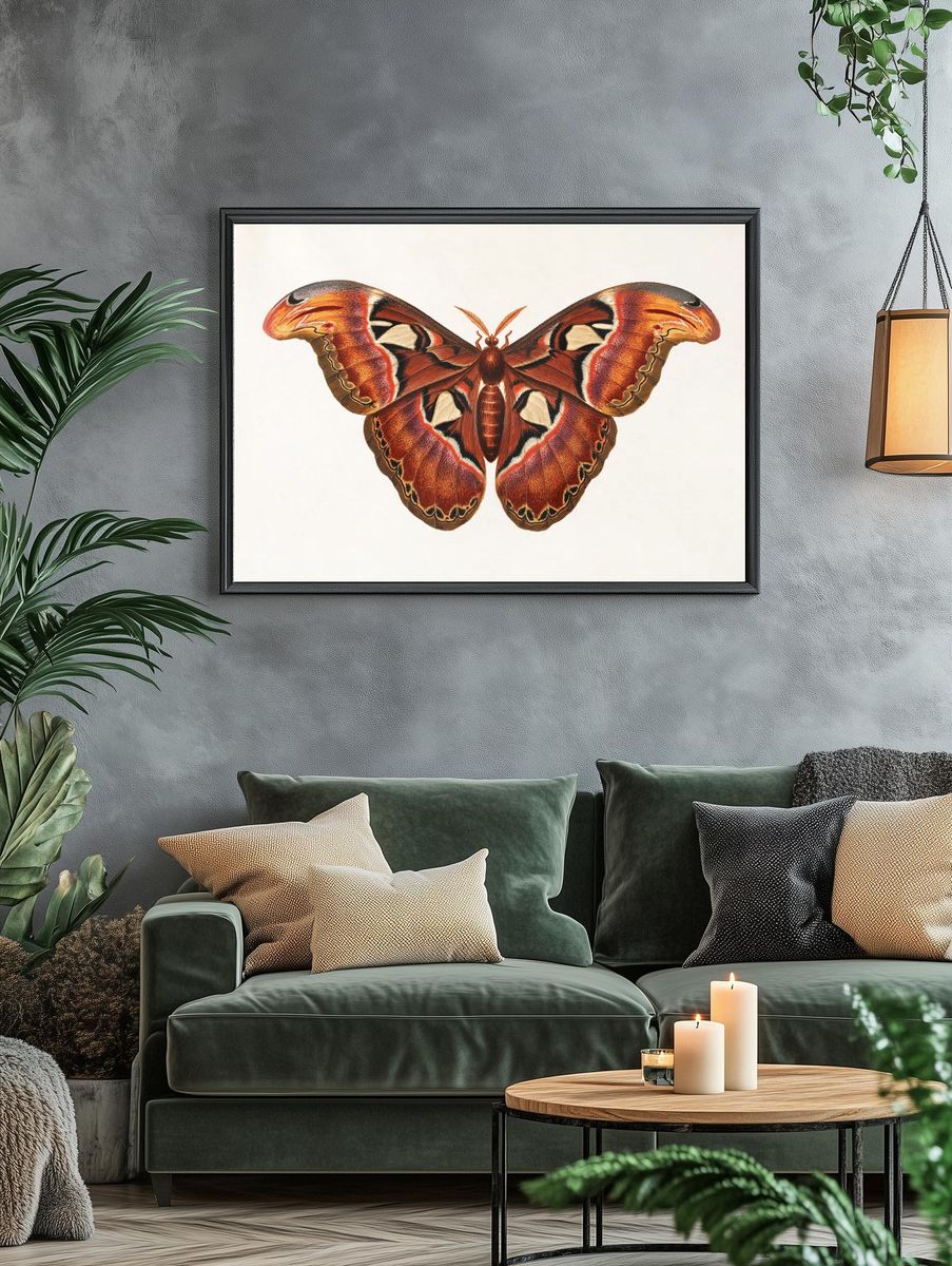 Colorful Butterfly Illustration Poster. — room view 4