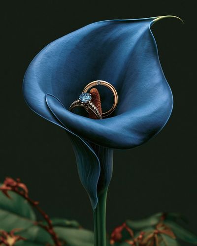 Blue Calla Lily Jewelry Print. poster