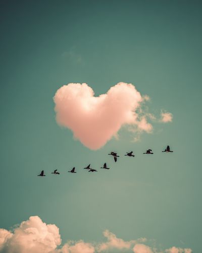 Birds in Flight — Love Cloud Poster