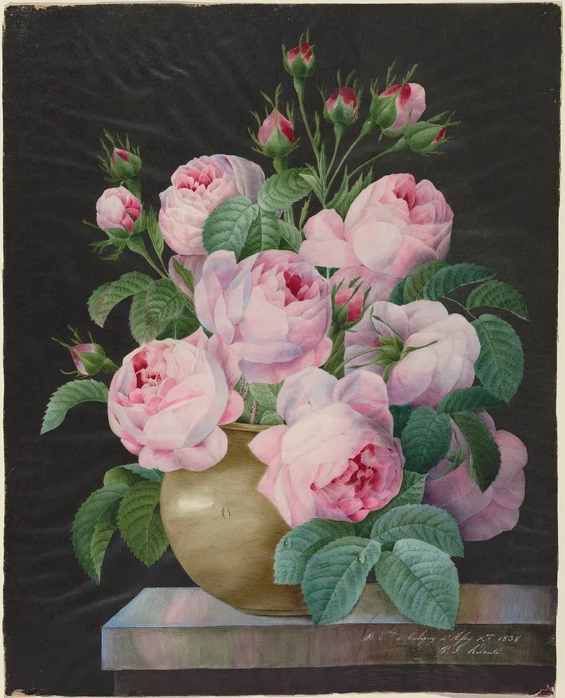 Pink Roses in a Vase — Fine Art Print. poster detail
