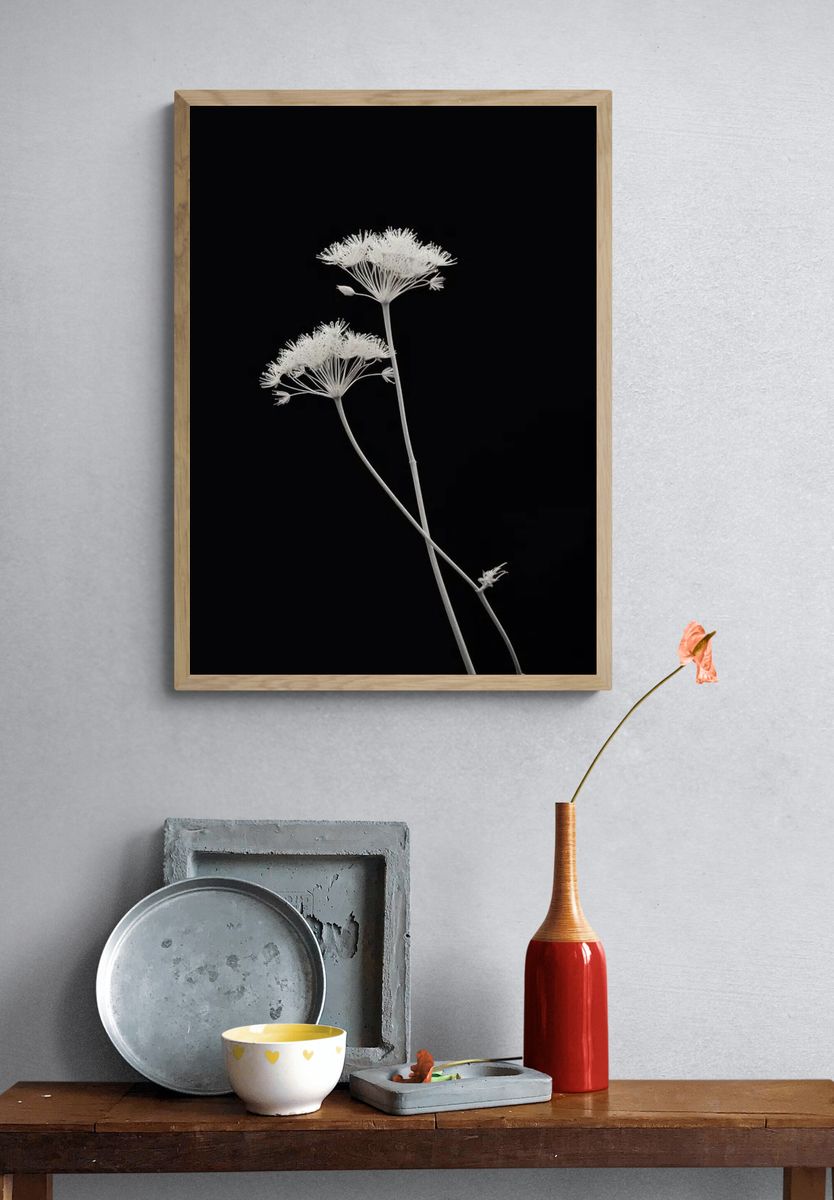 White Floral Silhouette — Minimalist Print. — room view 3