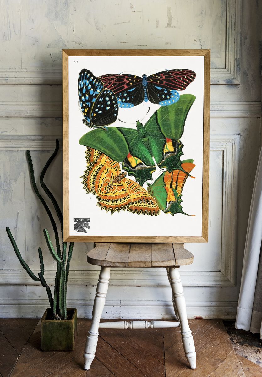 Colorful Butterflies — Vintage Print room preview