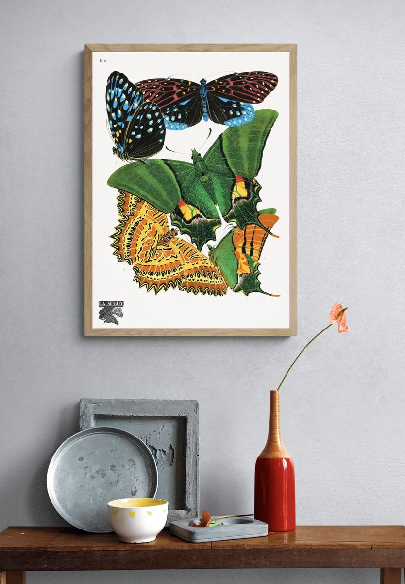Colorful Butterflies — Vintage Print. — room view 3