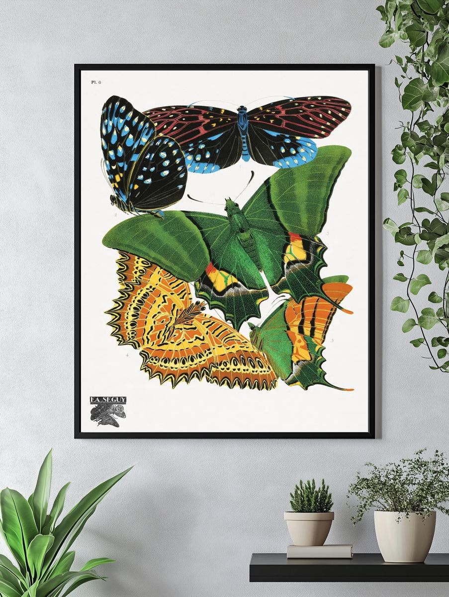 Colorful Butterflies — Vintage Print. — room view 4