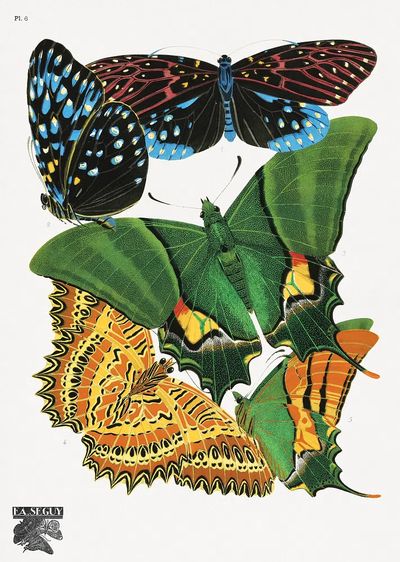 Colorful Butterflies — Vintage Print. poster