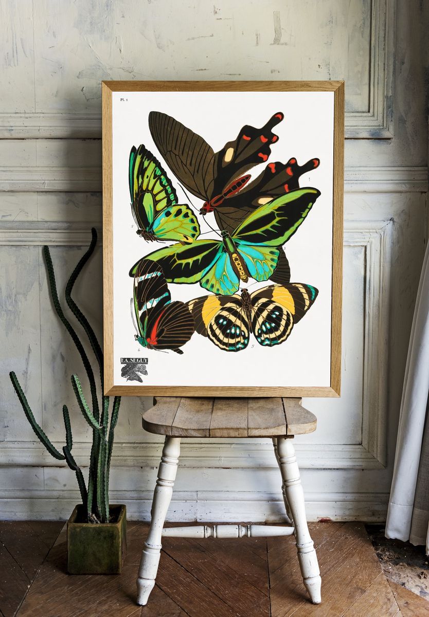 Colorful Butterflies — Vintage Print. — room view 1