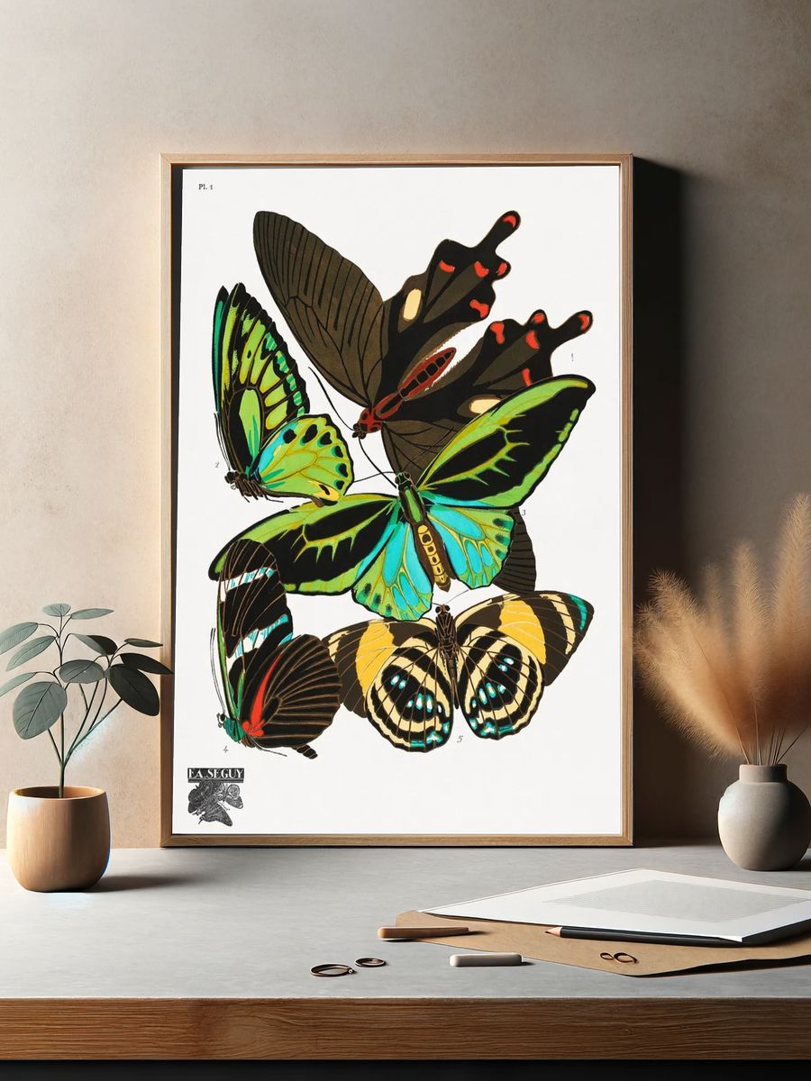 Colorful Butterflies — Vintage Print. — room view 2