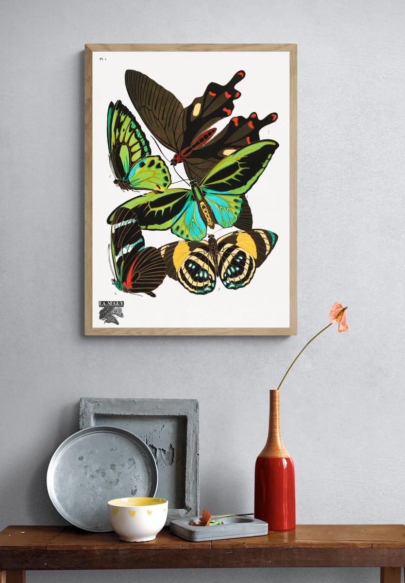 Colorful Butterflies — Vintage Print. — room view 3