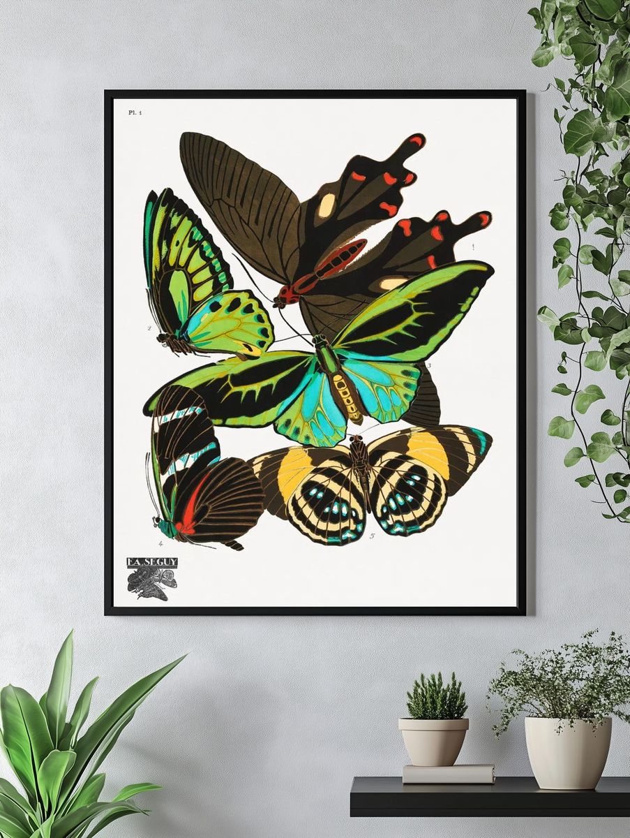 Colorful Butterflies — Vintage Print. — room view 4
