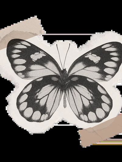 Monochrome Butterfly — Vintage Print