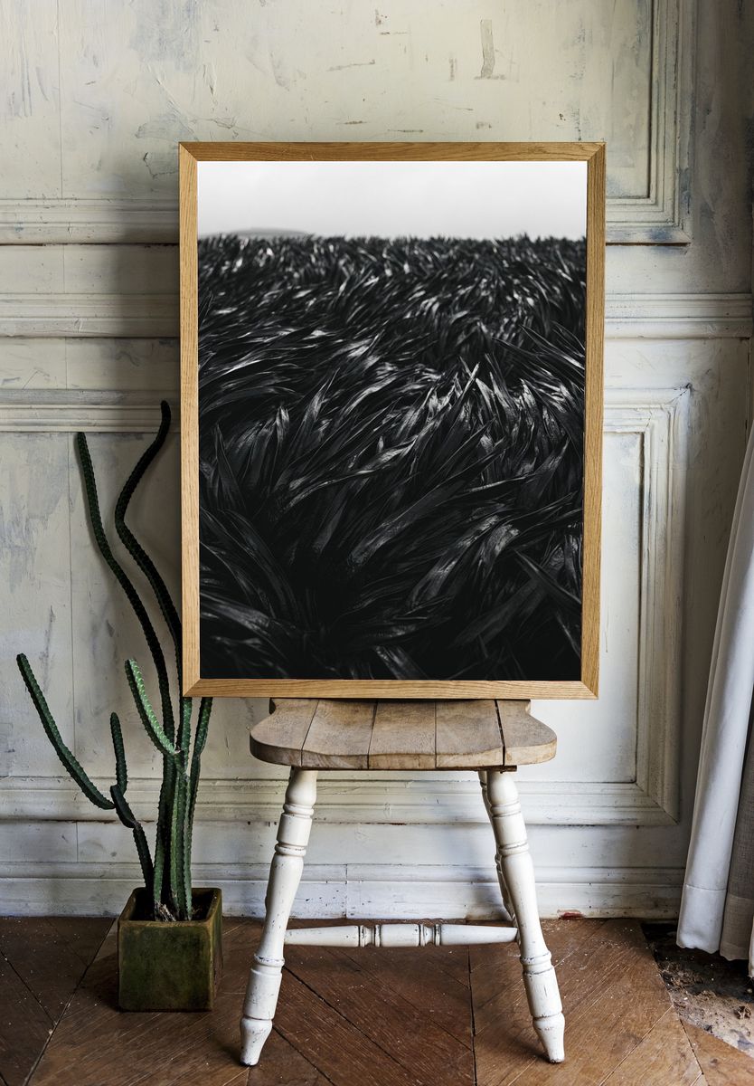 Black Feather Texture Print. — room view 1