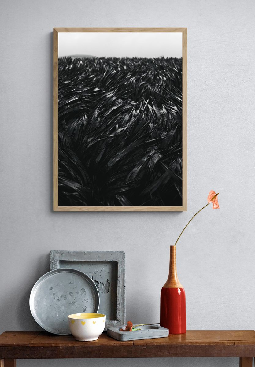Black Feather Texture Print. — room view 3