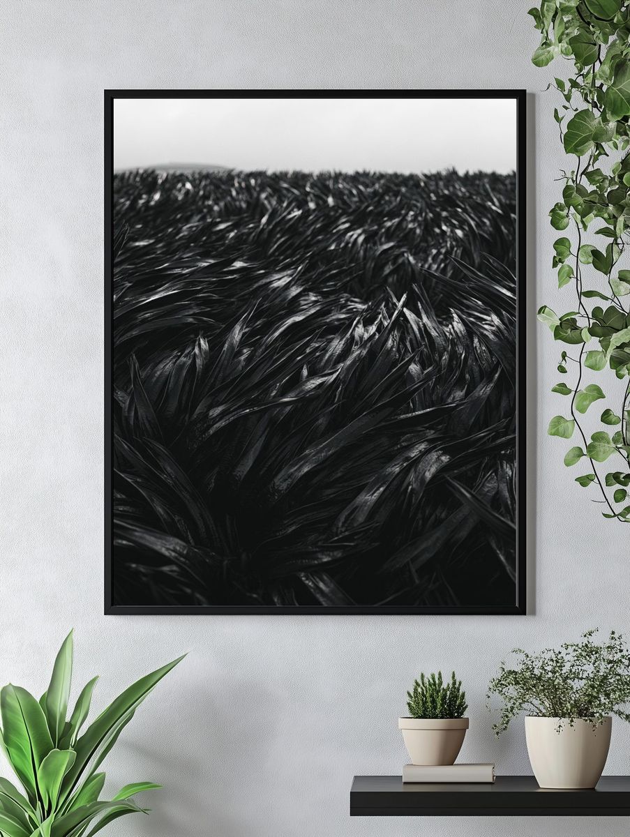 Black Feather Texture Print. — room view 4