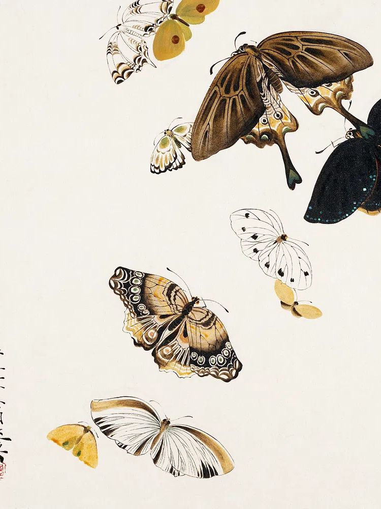 Butterfly Collection — Fine Art Print. poster detail
