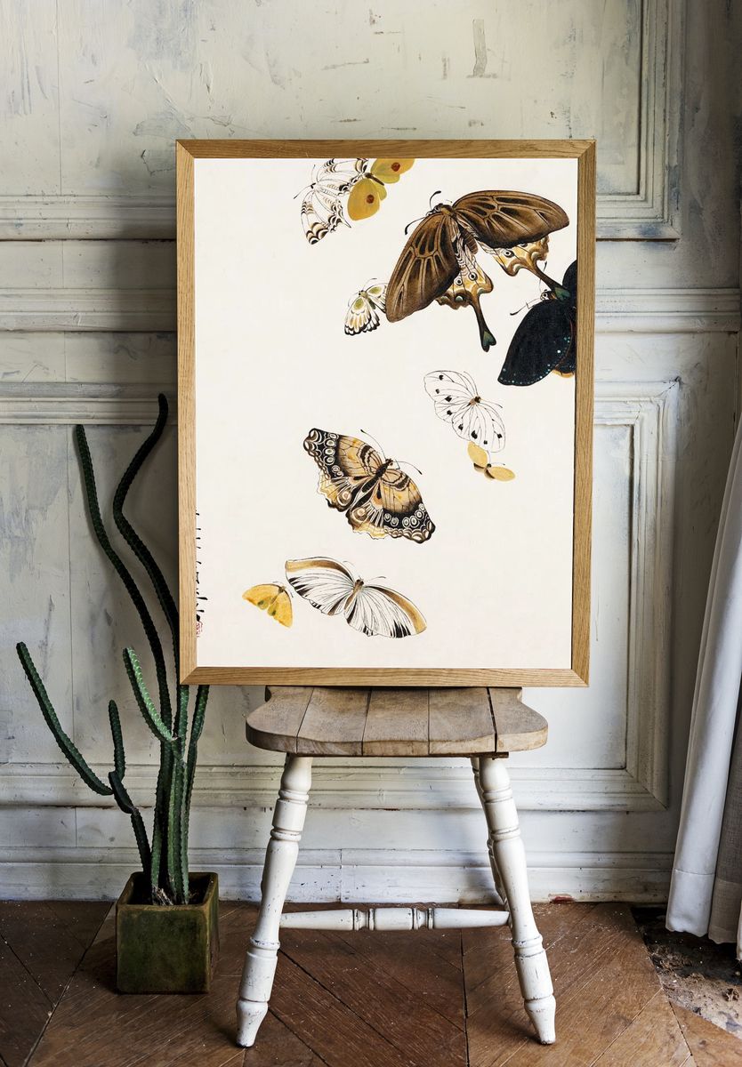 Butterfly Collection — Fine Art Print. — room view 1