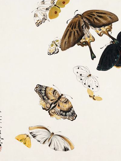 Butterfly Collection — Fine Art Print. poster