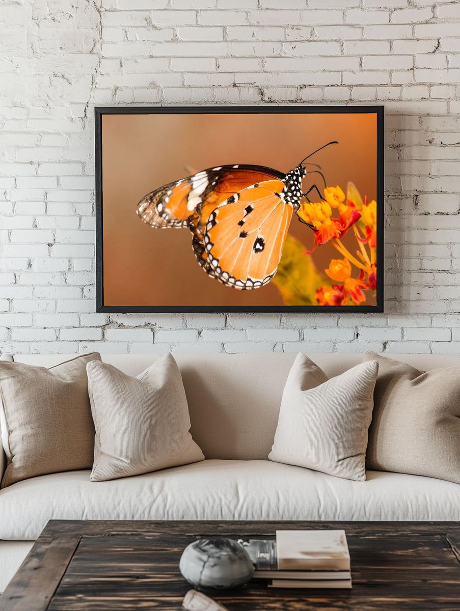 Monarch Butterfly on Flower — Nature Print. — room view 1