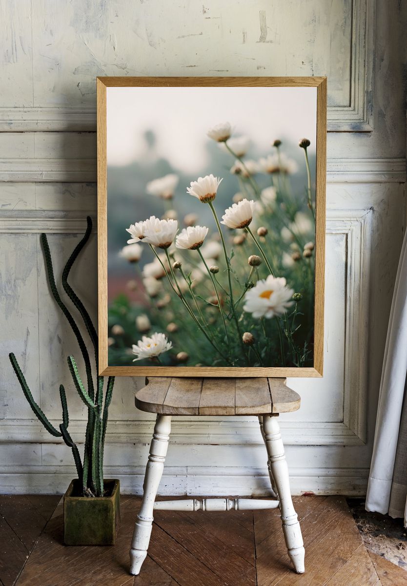 White Daisy Floral Photography Poster. — room view 1