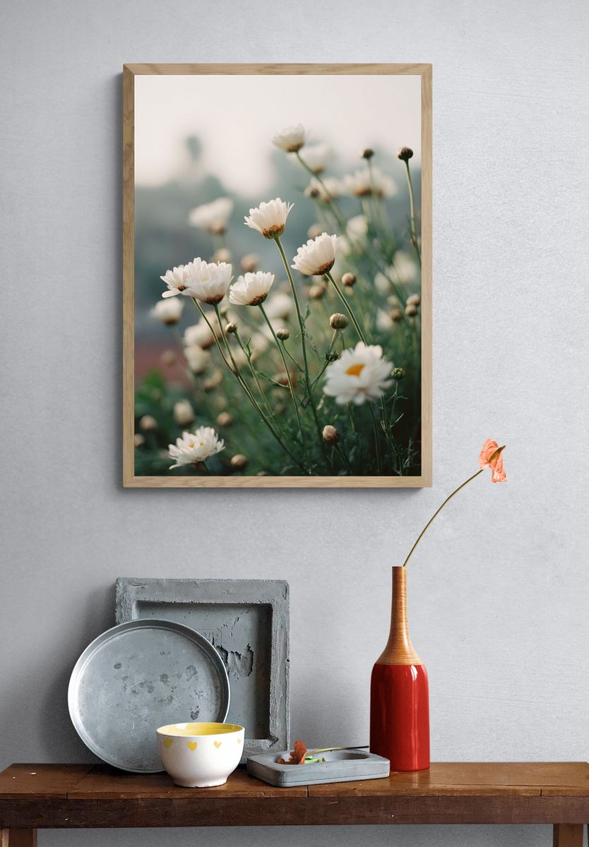 White Daisy Floral Photography Poster. — room view 3
