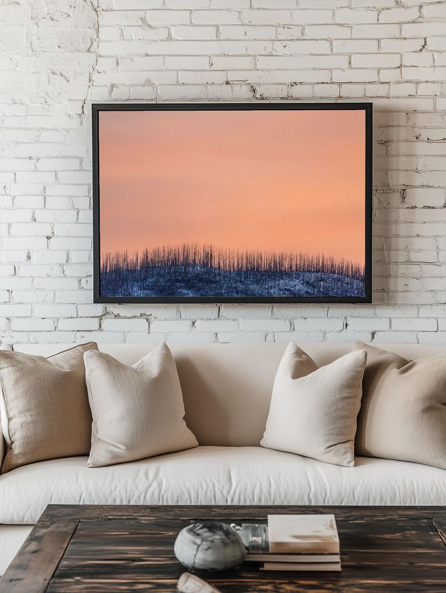 Burnt Forest at Sunset Poster room preview